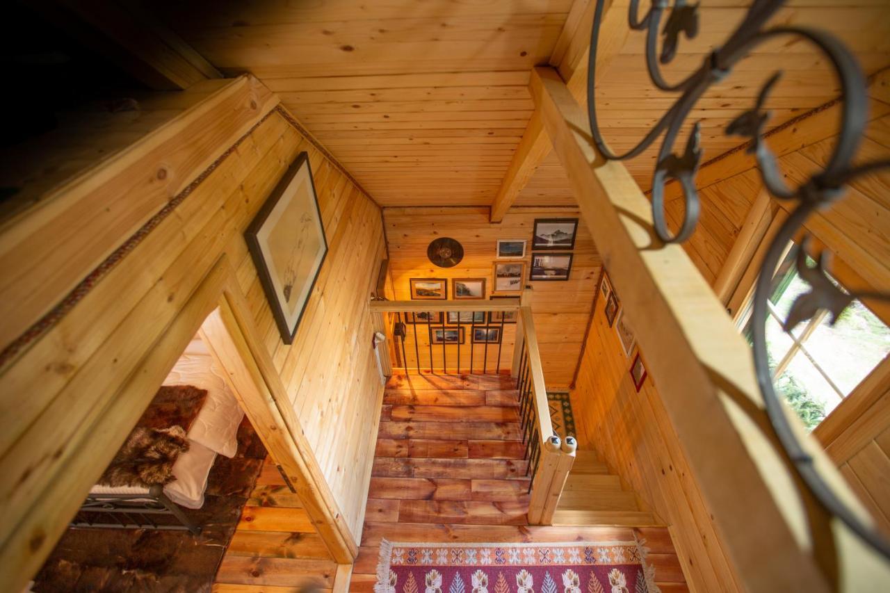 Villa Piccolo Orso Žabljak Esterno foto