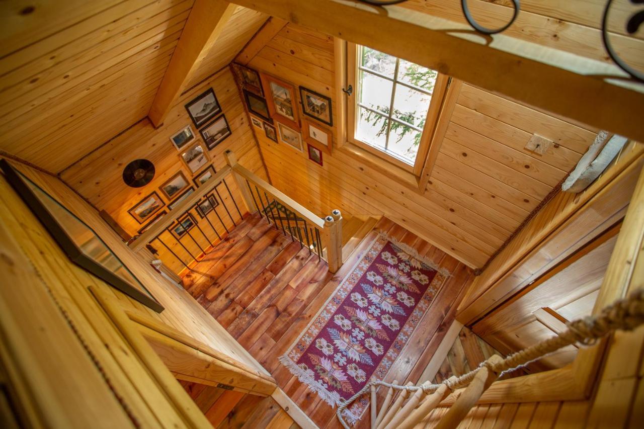 Villa Piccolo Orso Žabljak Esterno foto
